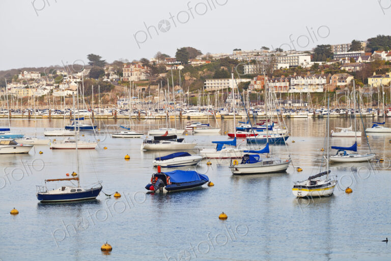 Boats in Harbor