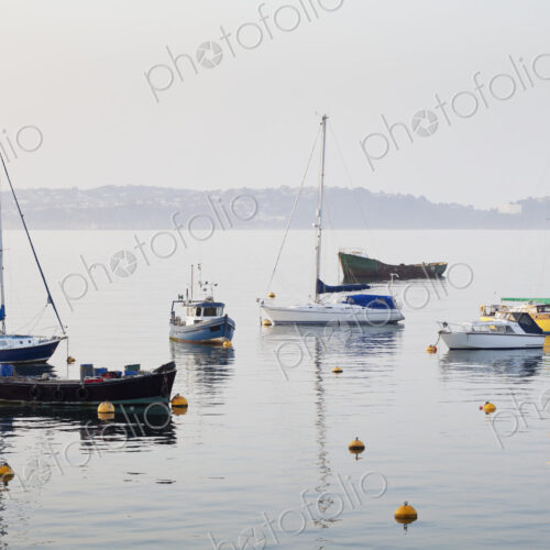 Boats in Harbor Boats in Harbor