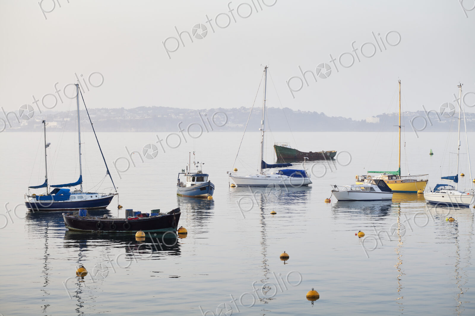 Boats in Harbor