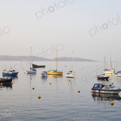 Boats in Harbor