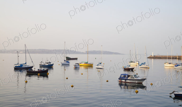 Boats in Harbor