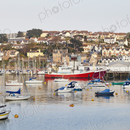 Boats in Harbor Boats in Harbor
