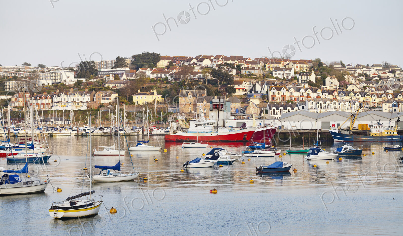Boats in Harbor