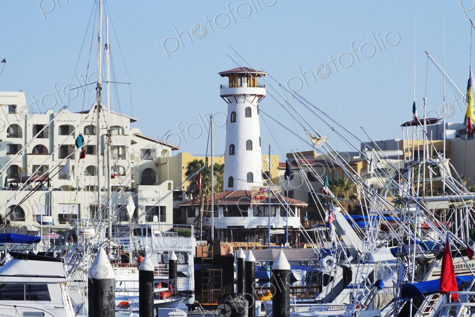 Boats in a Marina
