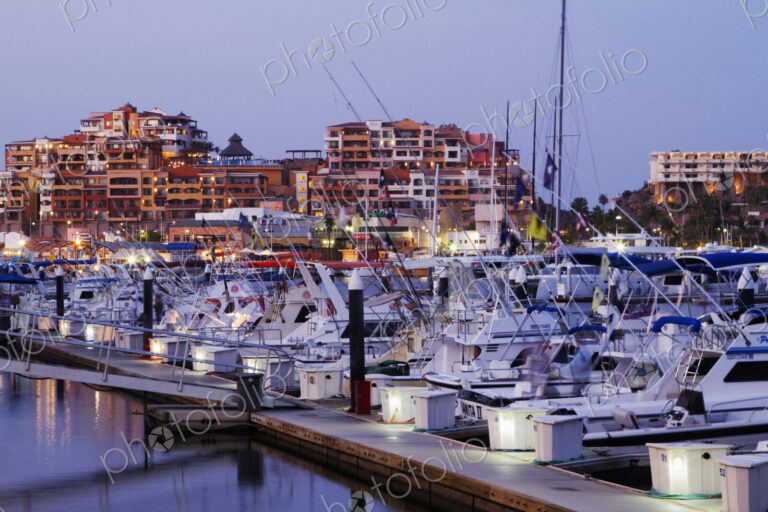 Boats in a Marina