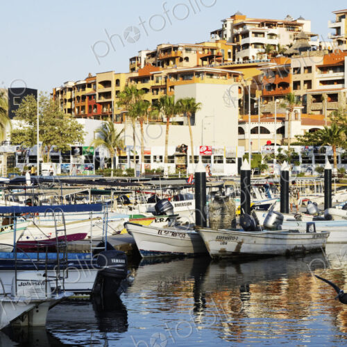 Boats in a Marina Boats in a Marina