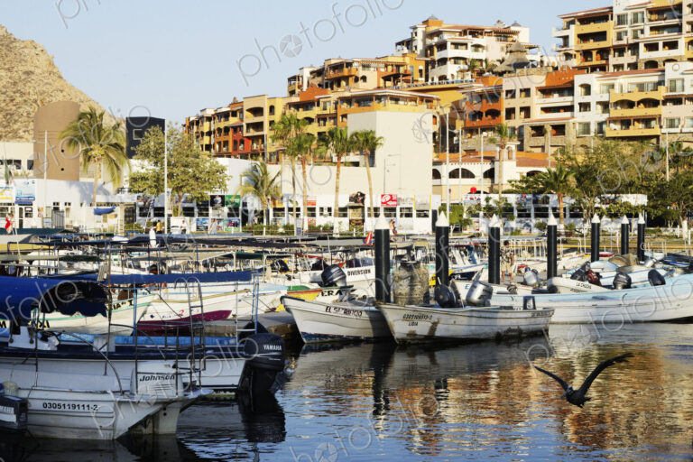 Boats in a Marina