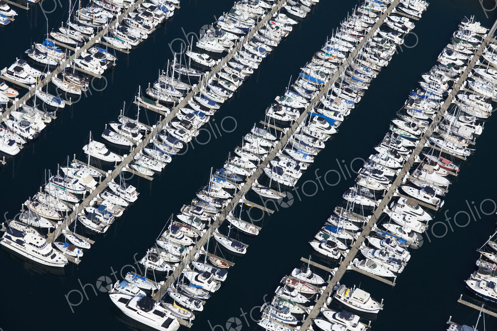 Boats in a Marina
