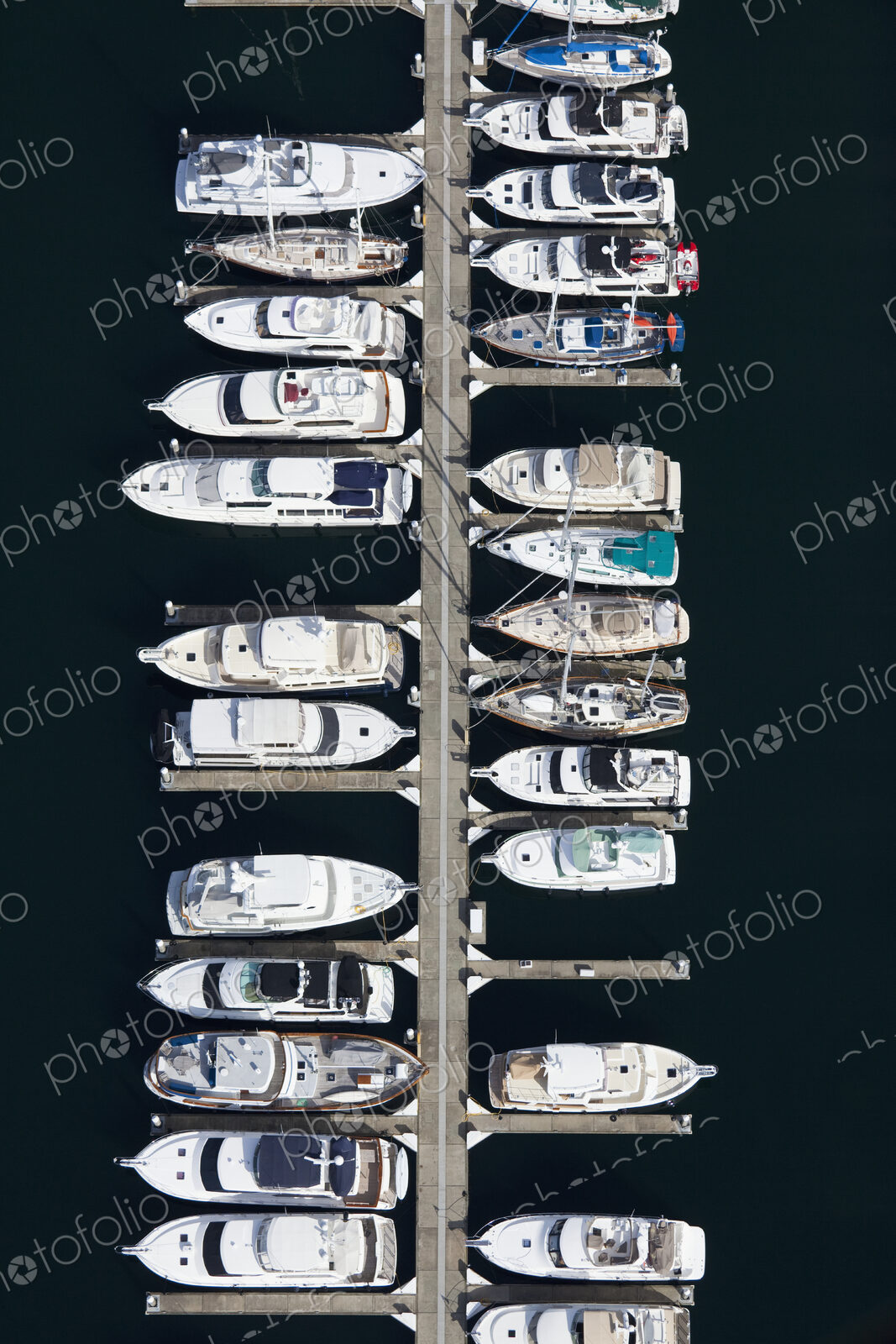 Boats in a Marina