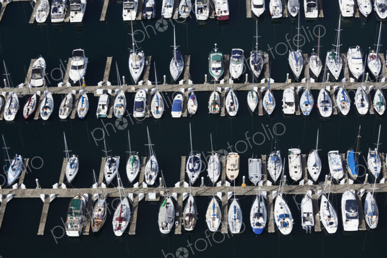 Boats in a Marina