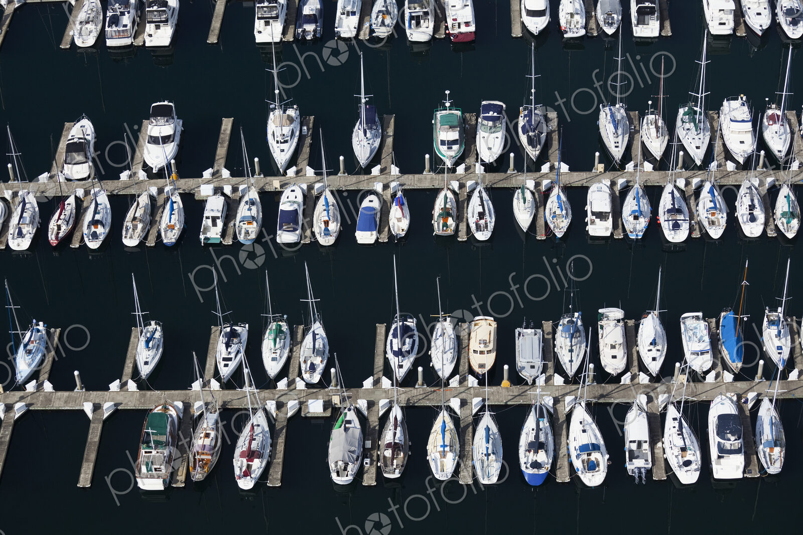 Boats in a Marina