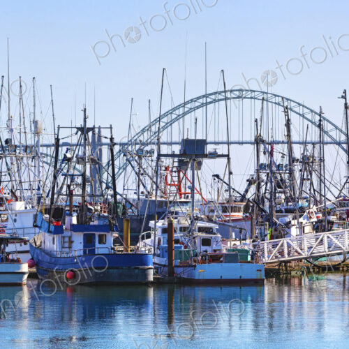 Boats mooring in harbor, Newport, Oregon, United States Boats mooring in harbor, Newport, Oregon, United States