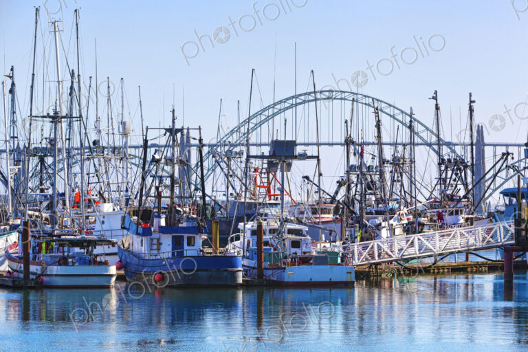 Boats mooring in harbor, Newport, Oregon, United States