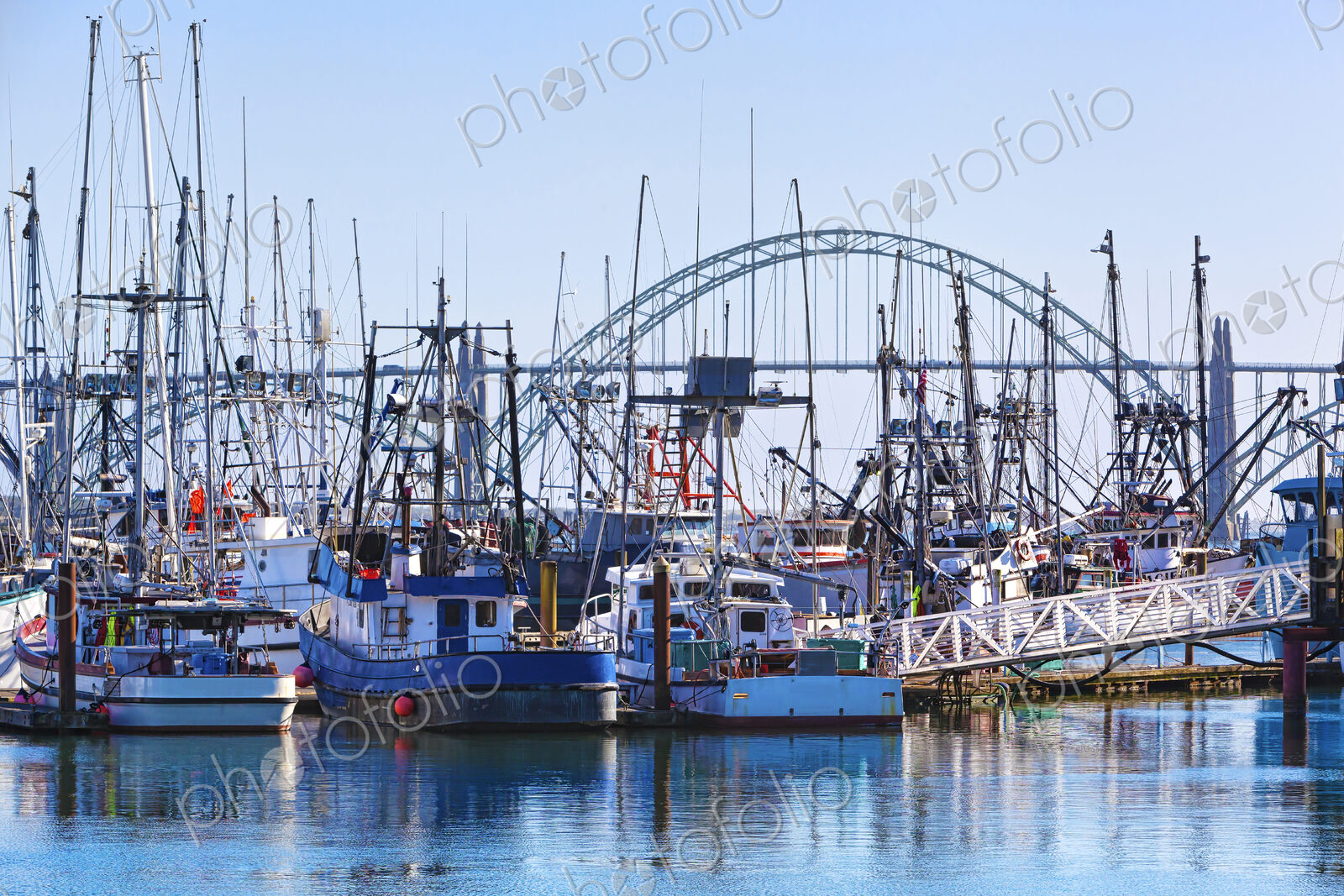 Boats mooring in harbor, Newport, Oregon, United States