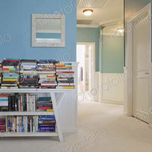 Books on Bookshelf Books on Bookshelf