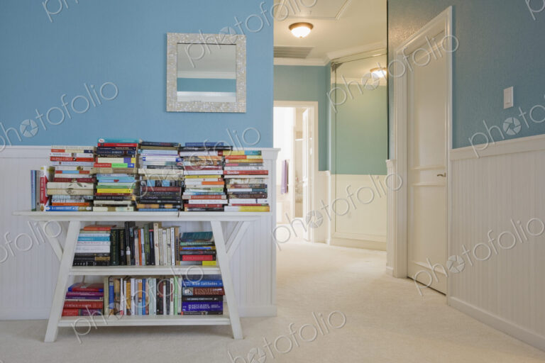 Books on Bookshelf