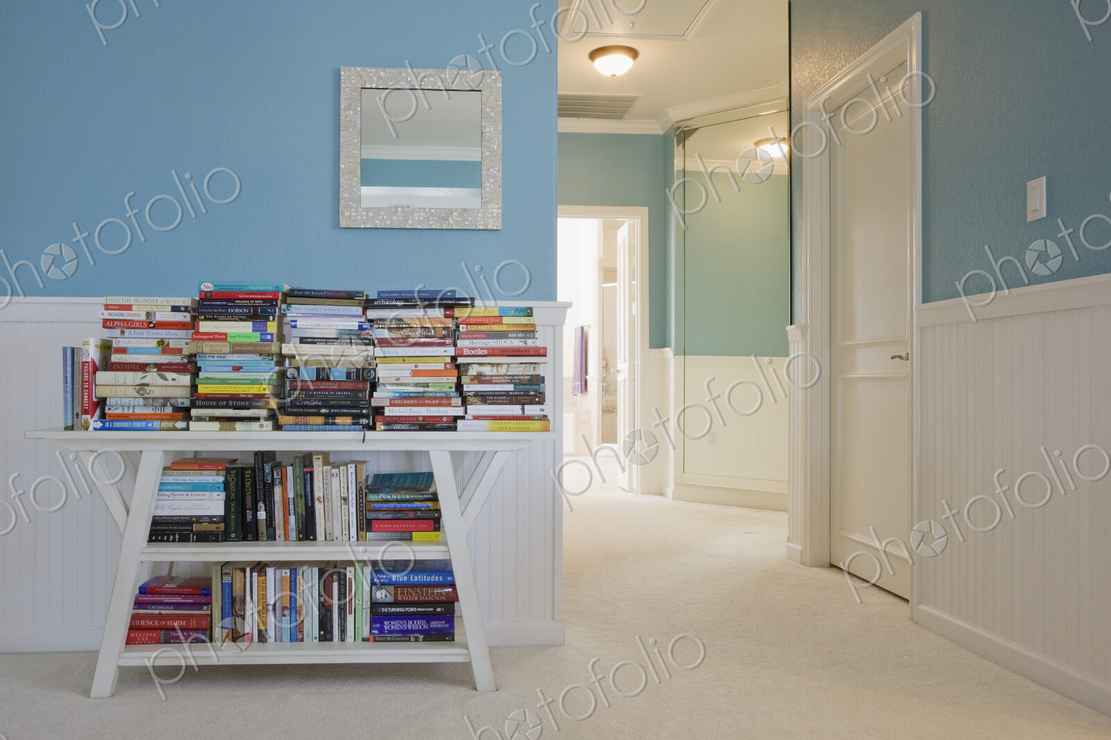 Books on Bookshelf