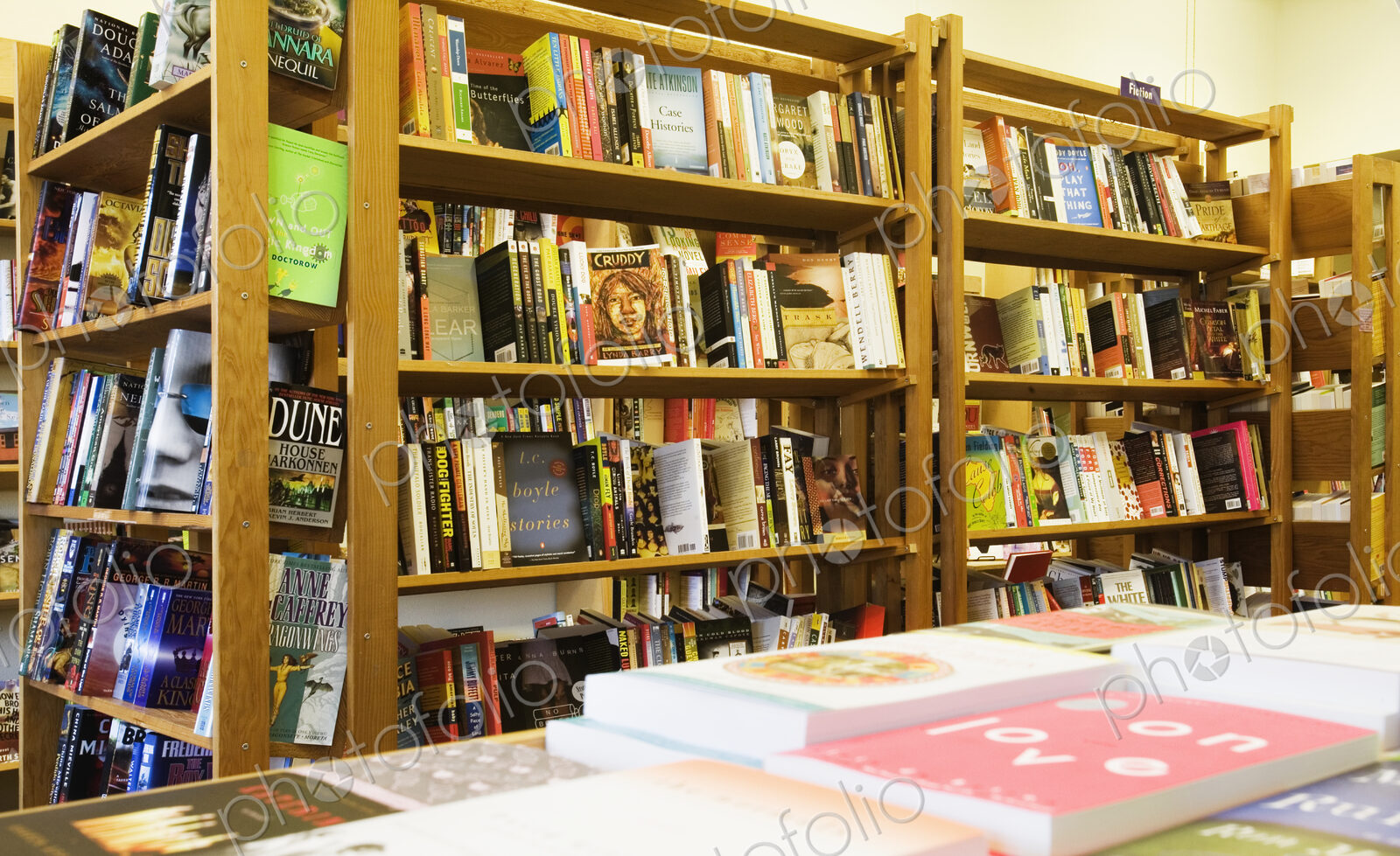 Books on shelves in bookstore
