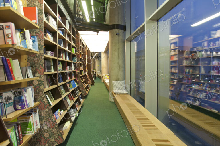 Bookstore Reading Bench