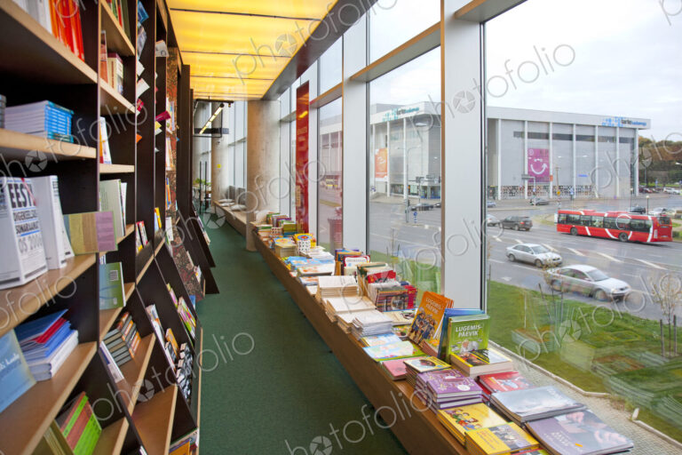 Bookstore Windows