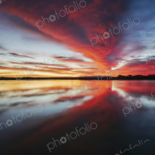 Bosque del Apache, San Antonio,
