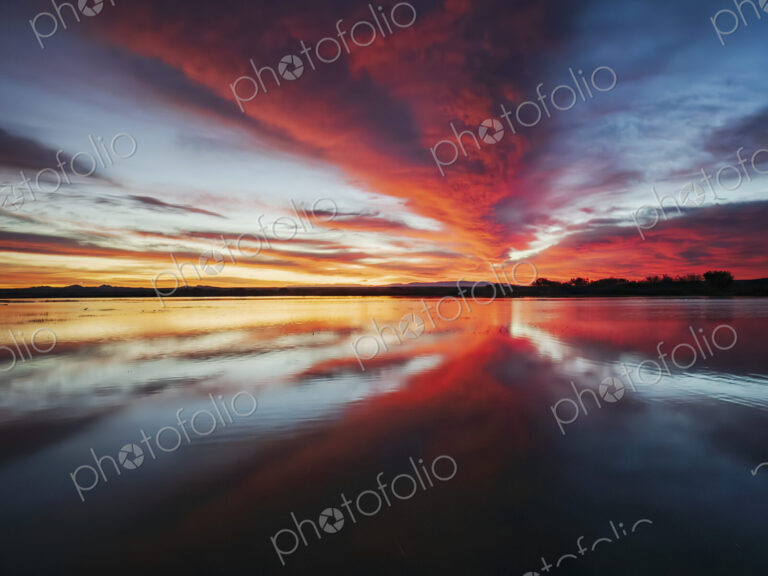 Bosque del Apache, San Antonio,