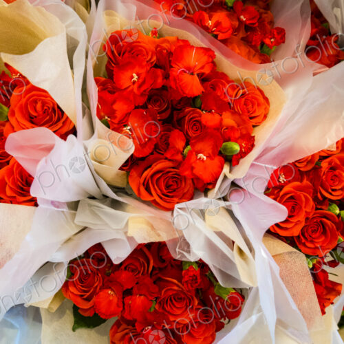 Bouquets of flowers wrapped in paper, red roses,petals unfurling, a traditional symbol…
