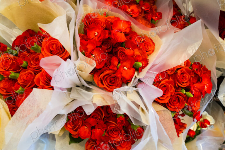 Bouquets of flowers wrapped in paper, red roses,petals unfurling, a traditional symbol…