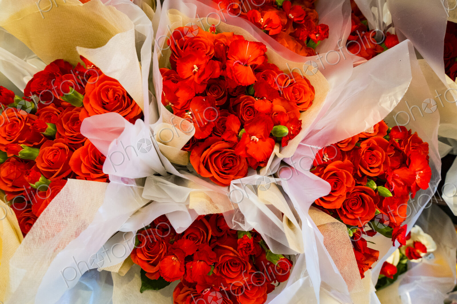 Bouquets of flowers wrapped in paper, red roses,petals unfurling, a traditional symbol…