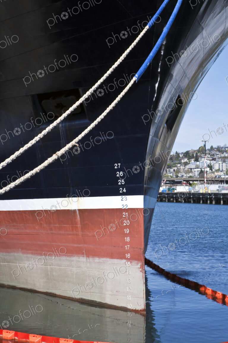 Bow of a Ship With Waterlines