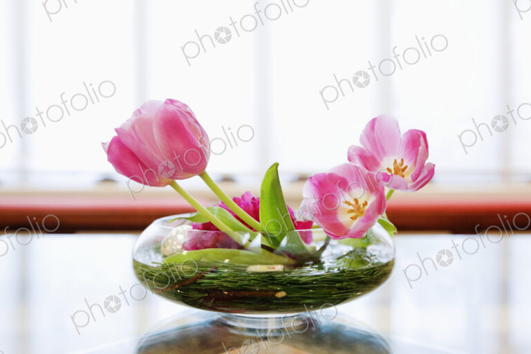 Bowl of Lilies