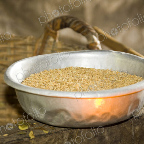 Bowl of Rice Bowl of Rice