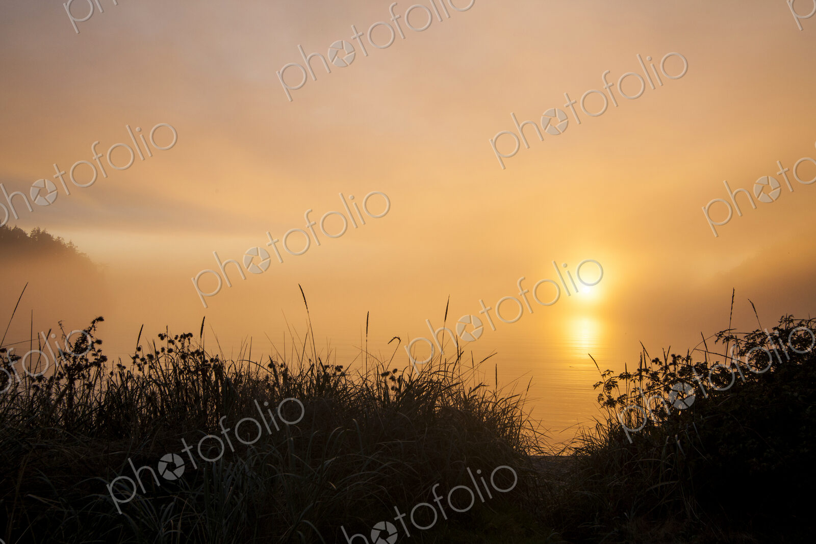 Bowman Bay, Deception Pass State Park, the coastline of the state park, sunset, sun on…