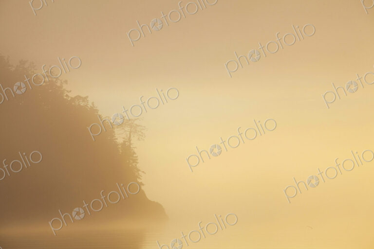 Bowman Bay, Deception Pass State Park, the view of a headland in the mist at sunset,…