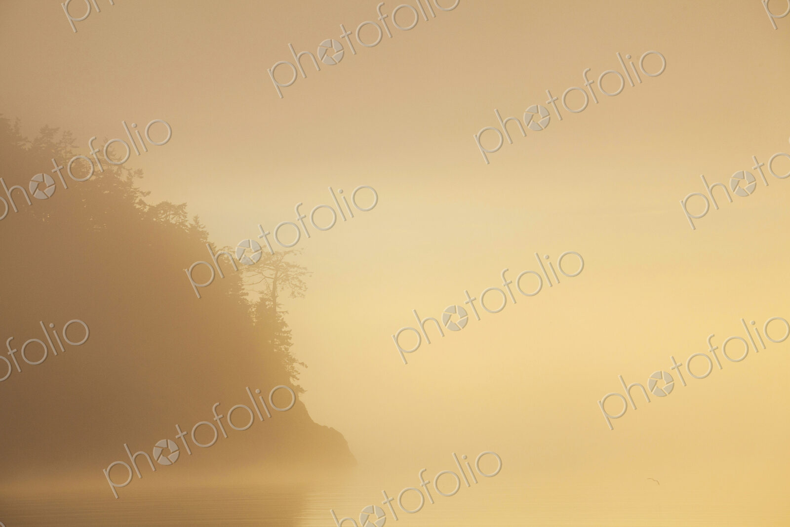 Bowman Bay, Deception Pass State Park, the view of a headland in the mist at sunset,…