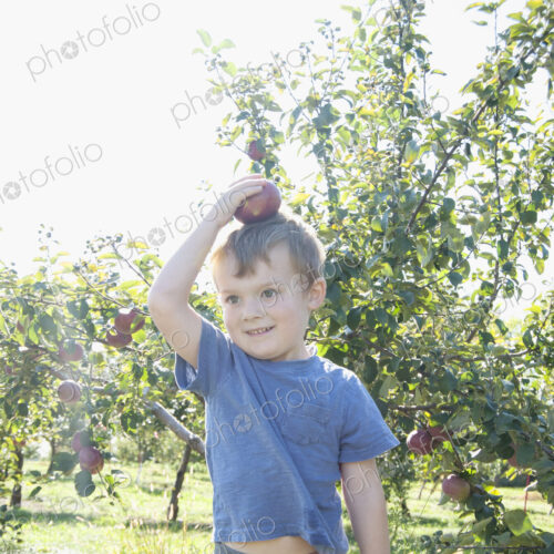 Boy balancing apple on head in orchard