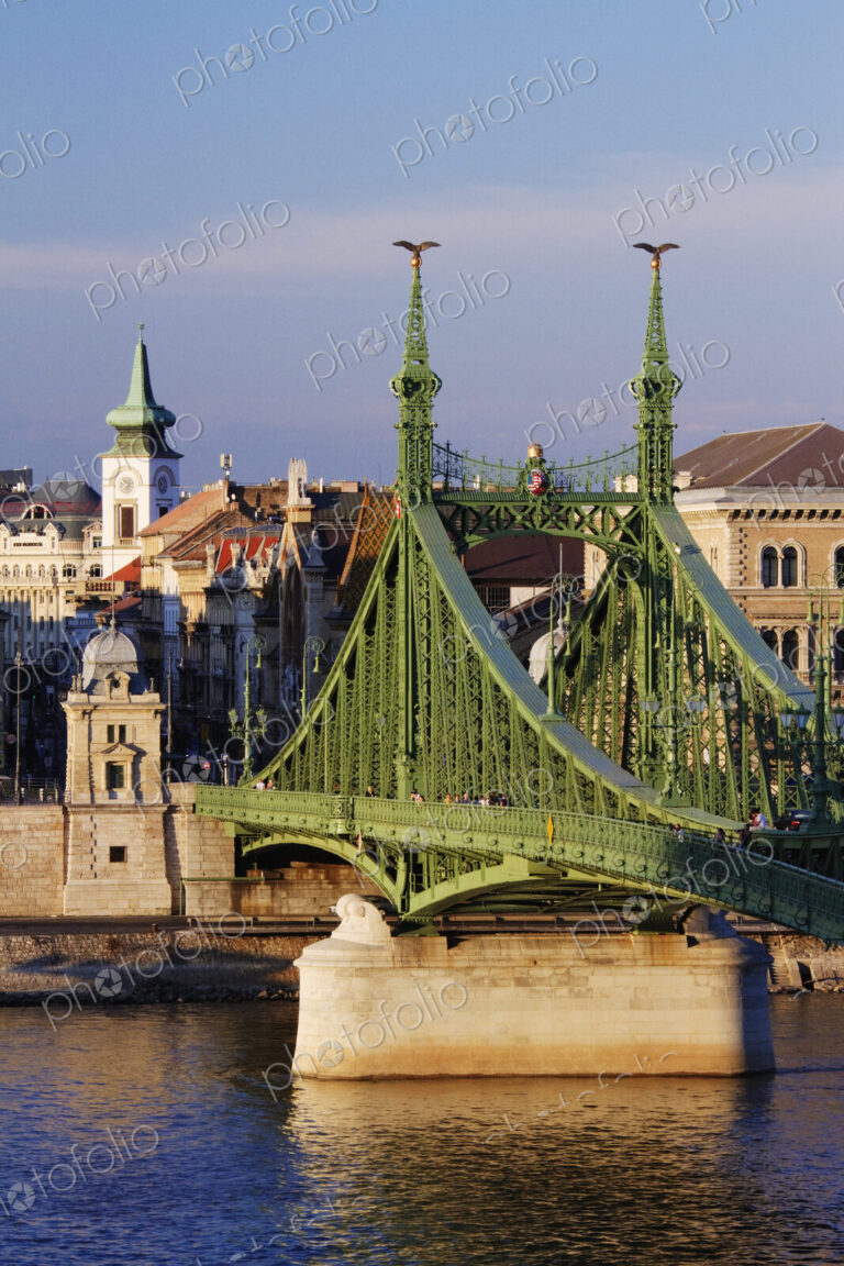 Bridge over the Danube