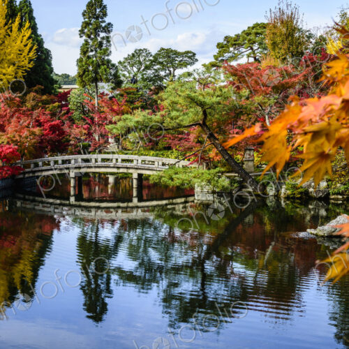 Bridge reflecting in still pond in park Bridge reflecting in still pond in park