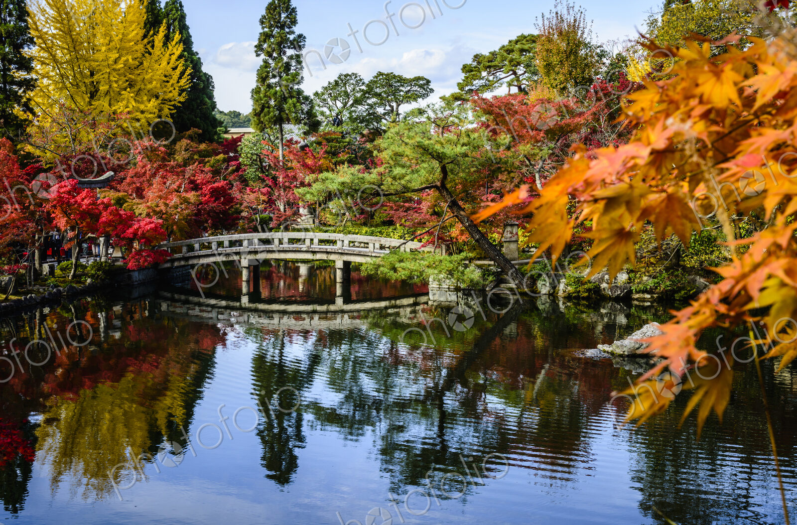 Bridge reflecting in still pond in park
