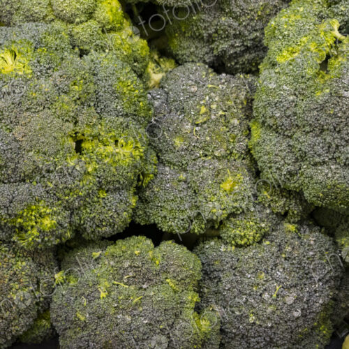 Broccoli vegetable, close up of edible green florets, on a shelf for sale. Broccoli vegetable, close up of edible green florets, on a shelf for sale.