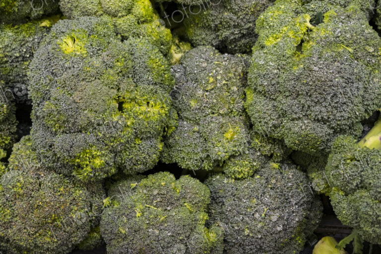 Broccoli vegetable, close up of edible green florets, on a shelf for sale.