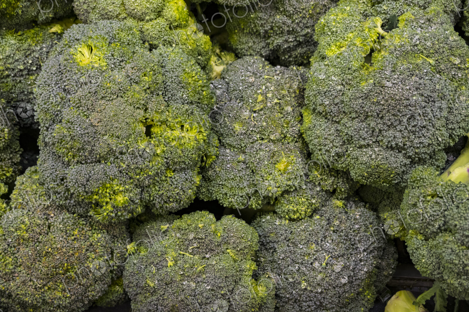 Broccoli vegetable, close up of edible green florets, on a shelf for sale.