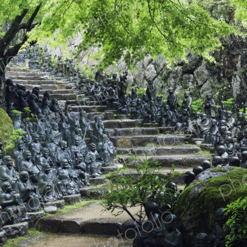 Buddahs Lining Steps Buddahs Lining Steps