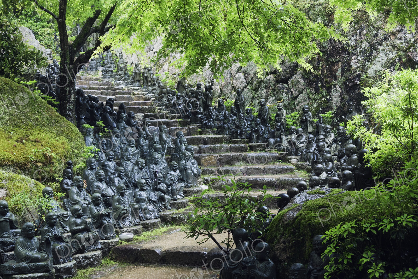 Buddahs Lining Steps