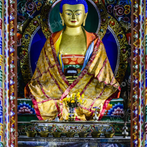 Buddha statue in shrine Buddha statue in shrine