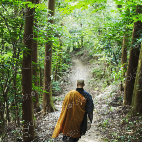 Buddhist monk walking down a forest path Buddhist monk walking down a forest path