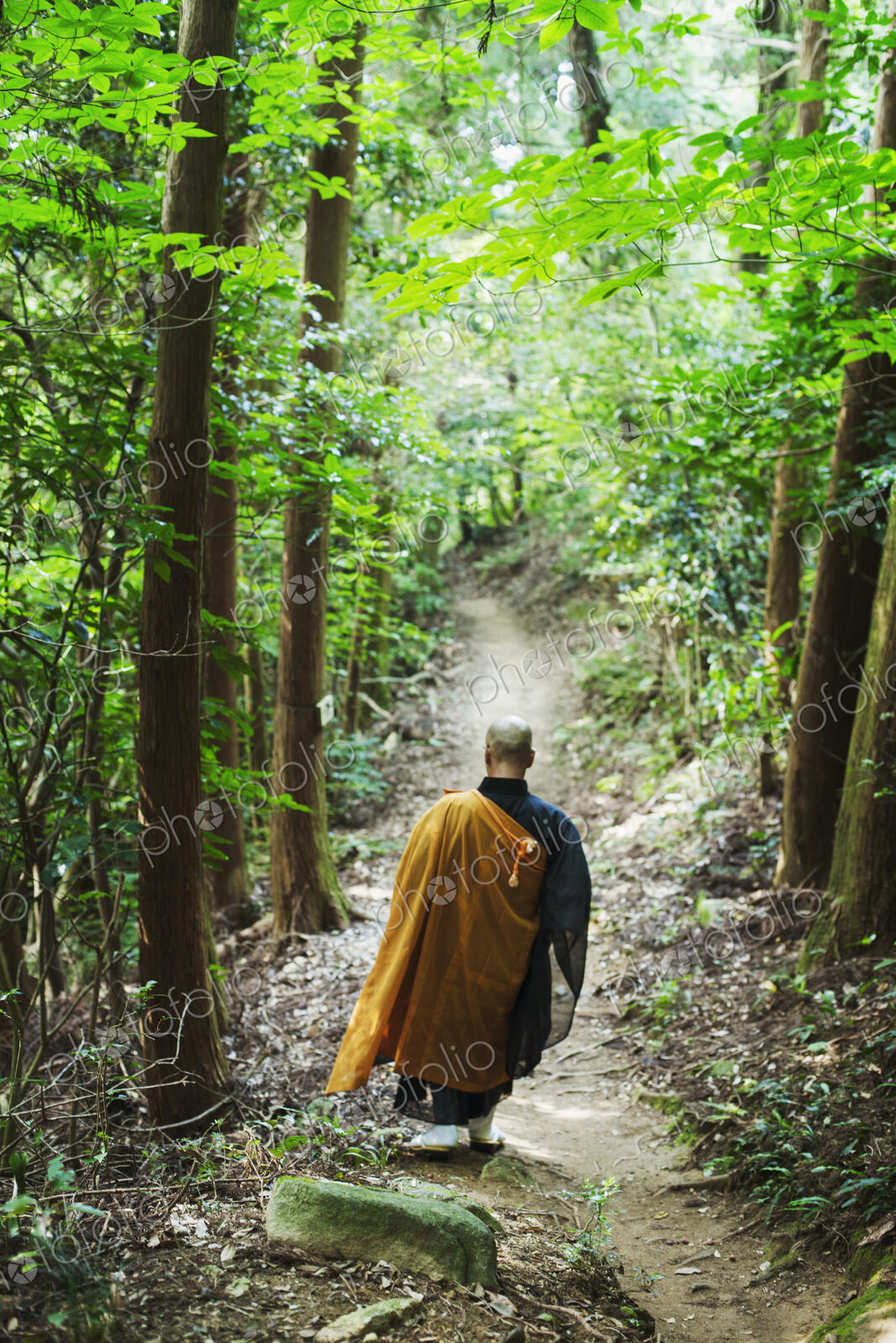 Buddhist monk walking down a forest path