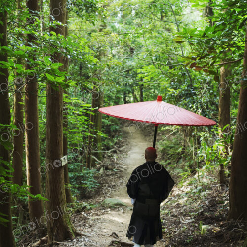Buddhist monk wearing black robe walking down a forest path Buddhist monk wearing black robe walking down a forest path