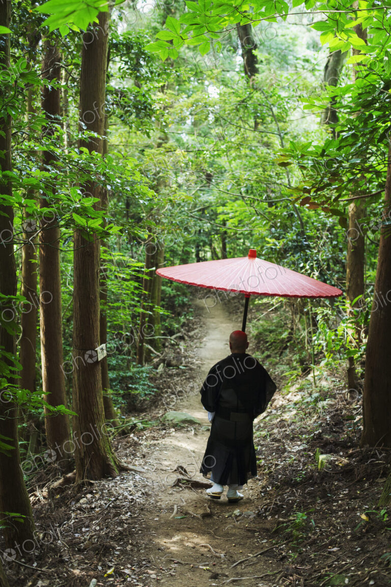 Buddhist monk wearing black robe walking down a forest path