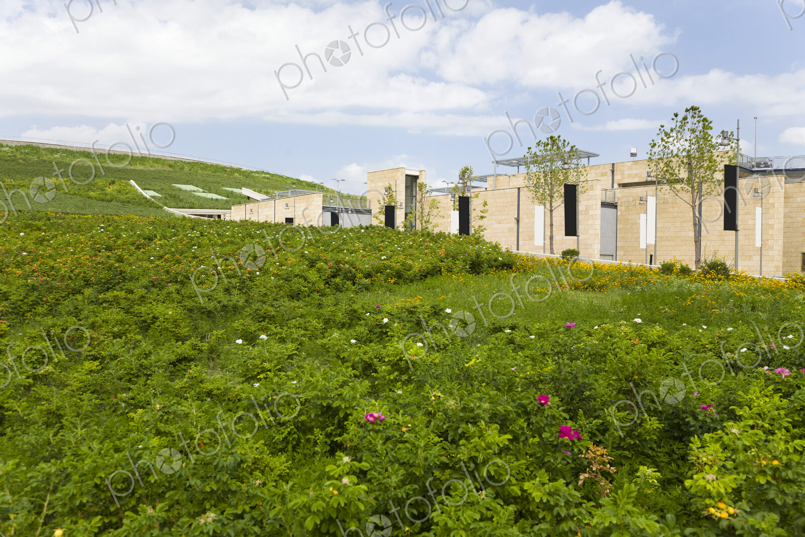Building In Green Field